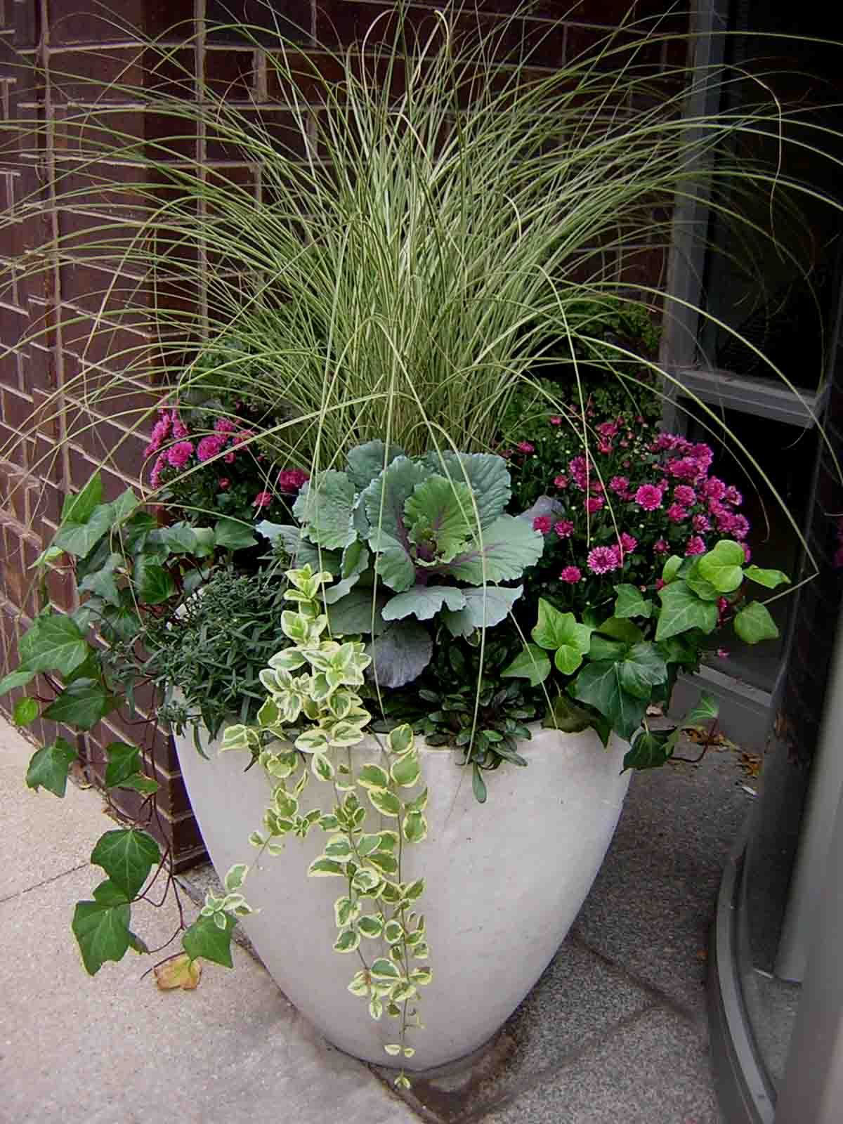 Plant Pots Like A Pro! - Birch Hill Interiors